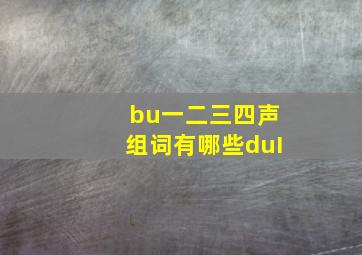 bu一二三四声组词有哪些duI