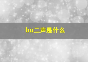 bu二声是什么