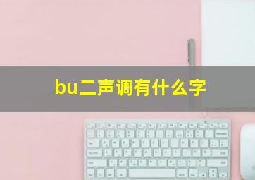 bu二声调有什么字