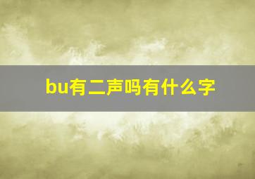 bu有二声吗有什么字