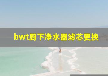 bwt厨下净水器滤芯更换