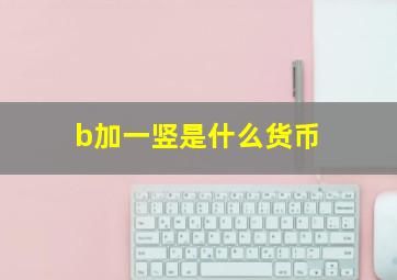 b加一竖是什么货币