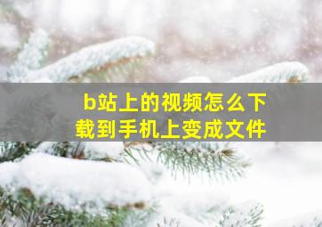 b站上的视频怎么下载到手机上变成文件