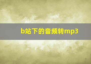 b站下的音频转mp3