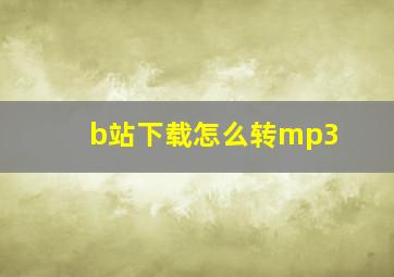 b站下载怎么转mp3