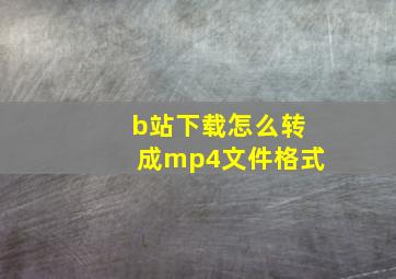 b站下载怎么转成mp4文件格式