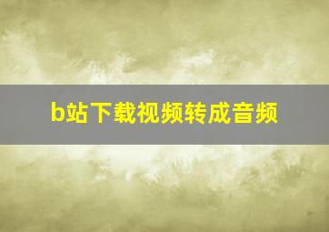 b站下载视频转成音频