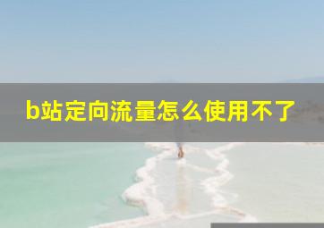 b站定向流量怎么使用不了