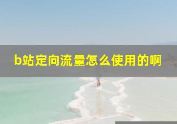 b站定向流量怎么使用的啊