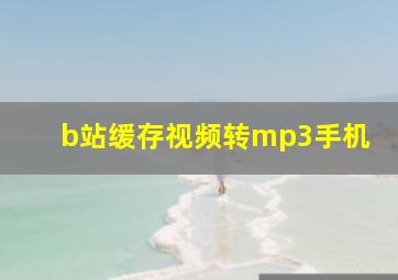 b站缓存视频转mp3手机