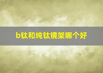 b钛和纯钛镜架哪个好