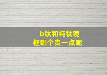 b钛和纯钛镜框哪个贵一点呢