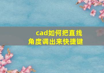 cad如何把直线角度调出来快捷键