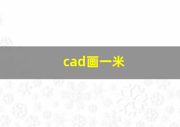 cad画一米