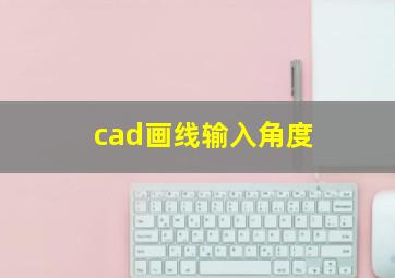 cad画线输入角度