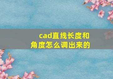 cad直线长度和角度怎么调出来的