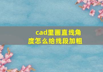 cad里画直线角度怎么给线段加粗