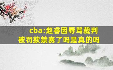 cba:赵睿因辱骂裁判被罚款禁赛了吗是真的吗