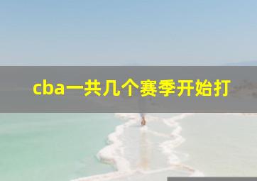 cba一共几个赛季开始打