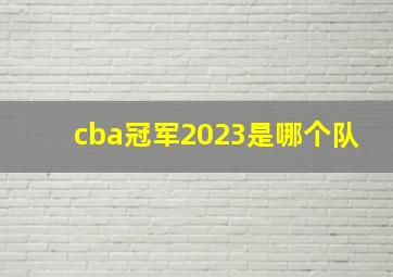 cba冠军2023是哪个队