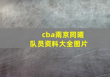 cba南京同曦队员资料大全图片