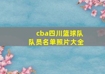 cba四川篮球队队员名单照片大全