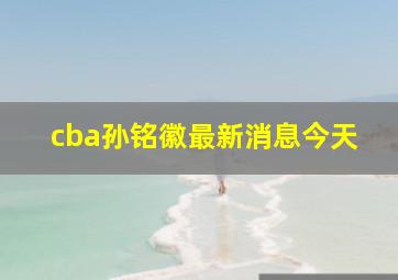 cba孙铭徽最新消息今天