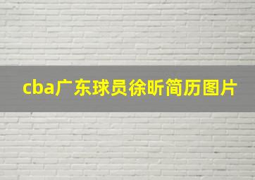 cba广东球员徐昕简历图片