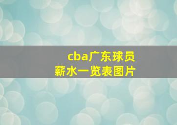 cba广东球员薪水一览表图片