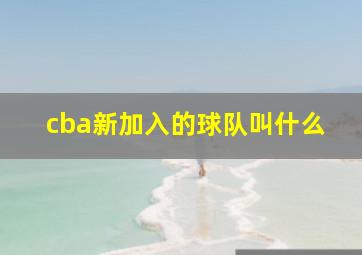 cba新加入的球队叫什么