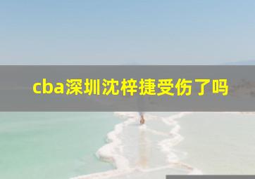 cba深圳沈梓捷受伤了吗