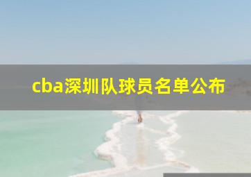 cba深圳队球员名单公布