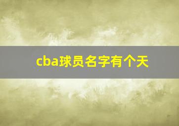 cba球员名字有个天