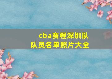 cba赛程深圳队队员名单照片大全