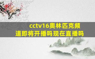 cctv16奥林匹克频道即将开播吗现在直播吗