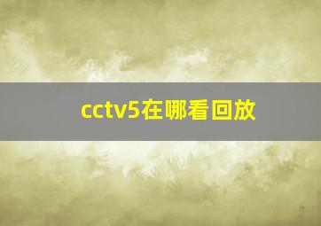 cctv5在哪看回放