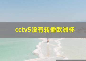 cctv5没有转播欧洲杯