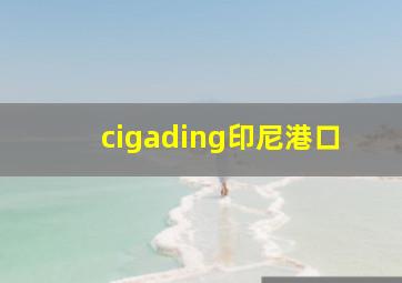 cigading印尼港口