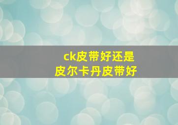 ck皮带好还是皮尔卡丹皮带好