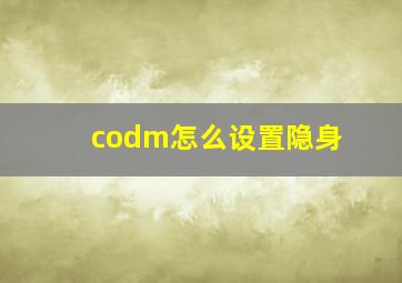 codm怎么设置隐身