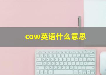 cow英语什么意思