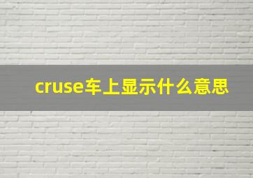 cruse车上显示什么意思