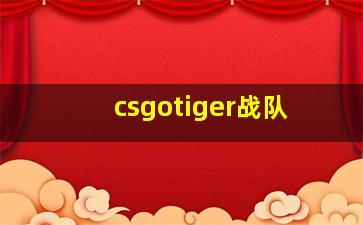 csgotiger战队