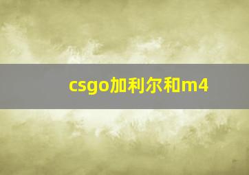 csgo加利尔和m4