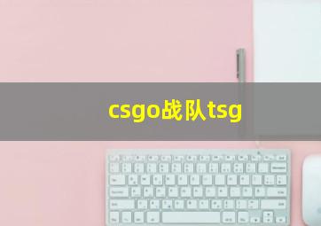 csgo战队tsg