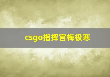 csgo指挥官梅极寒