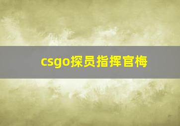 csgo探员指挥官梅