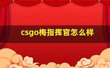 csgo梅指挥官怎么样