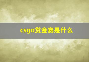 csgo赏金赛是什么