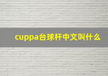 cuppa台球杆中文叫什么